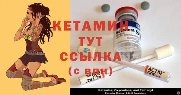 прущие грибы Вяземский