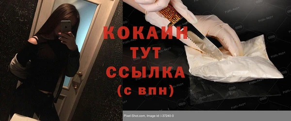 прущие грибы Вяземский