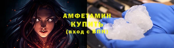 прущие грибы Вяземский